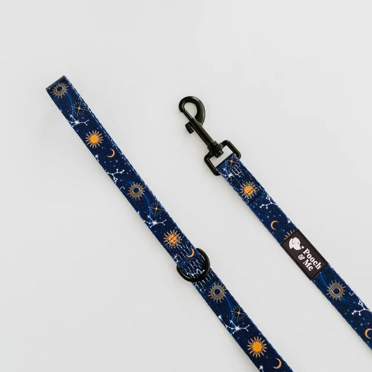 Pooch & Me Stellar Leash