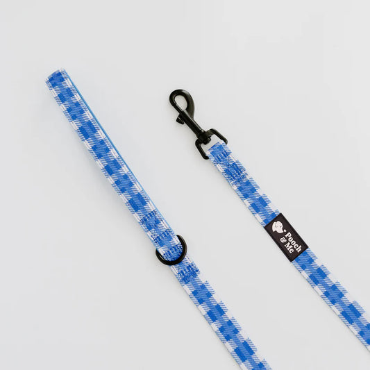 Pooch & Me Azure Leash